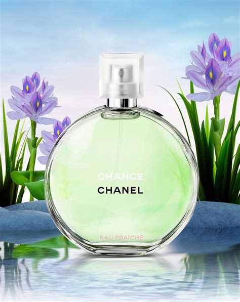 the perfume shop chanel chance eau fraiche